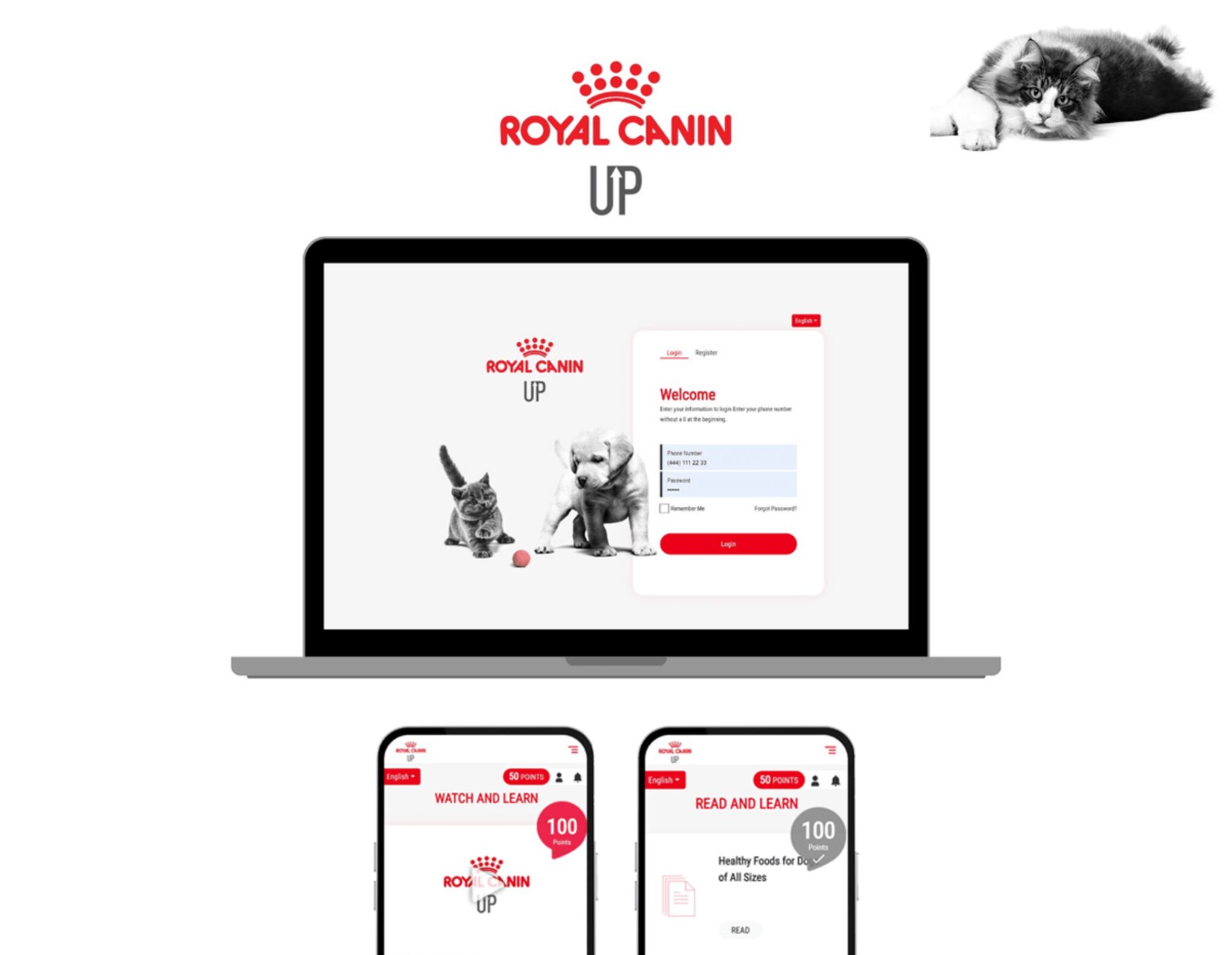 royal canin başarı hikayesi
